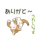 ころころにゃんこ 優しい毎日（個別スタンプ：14）