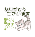 ころころにゃんこ 優しい毎日（個別スタンプ：15）