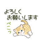 ころころにゃんこ 優しい毎日（個別スタンプ：16）
