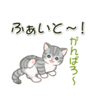 ころころにゃんこ 優しい毎日（個別スタンプ：17）