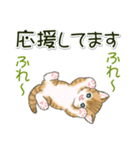 ころころにゃんこ 優しい毎日（個別スタンプ：18）
