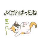 ころころにゃんこ 優しい毎日（個別スタンプ：19）