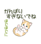 ころころにゃんこ 優しい毎日（個別スタンプ：20）