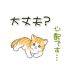 ころころにゃんこ 優しい毎日（個別スタンプ：21）