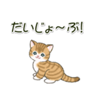 ころころにゃんこ 優しい毎日（個別スタンプ：22）
