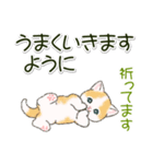 ころころにゃんこ 優しい毎日（個別スタンプ：23）