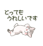 ころころにゃんこ 優しい毎日（個別スタンプ：24）