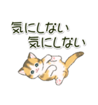 ころころにゃんこ 優しい毎日（個別スタンプ：25）