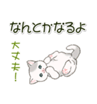 ころころにゃんこ 優しい毎日（個別スタンプ：26）