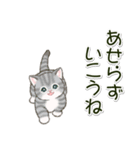 ころころにゃんこ 優しい毎日（個別スタンプ：27）