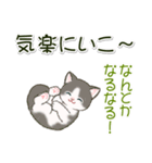 ころころにゃんこ 優しい毎日（個別スタンプ：28）