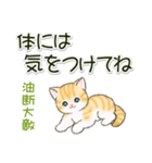 ころころにゃんこ 優しい毎日（個別スタンプ：29）