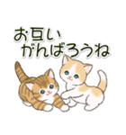 ころころにゃんこ 優しい毎日（個別スタンプ：30）