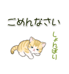 ころころにゃんこ 優しい毎日（個別スタンプ：31）