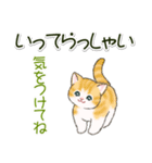 ころころにゃんこ 優しい毎日（個別スタンプ：34）