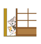 ころころにゃんこ 優しい毎日（個別スタンプ：36）