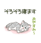 ころころにゃんこ 優しい毎日（個別スタンプ：37）