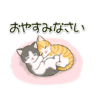 ころころにゃんこ 優しい毎日（個別スタンプ：38）