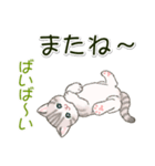 ころころにゃんこ 優しい毎日（個別スタンプ：39）
