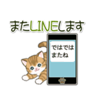 ころころにゃんこ 優しい毎日（個別スタンプ：40）