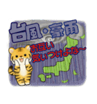 可愛いとらさん♡ 秋の日常(関西弁)（個別スタンプ：33）