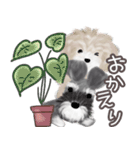 子犬の らぶ＆ことシュナ＆トイプー（個別スタンプ：1）