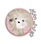 子犬の らぶ＆ことシュナ＆トイプー（個別スタンプ：4）