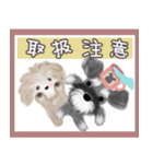 子犬の らぶ＆ことシュナ＆トイプー（個別スタンプ：5）