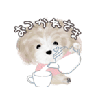 子犬の らぶ＆ことシュナ＆トイプー（個別スタンプ：8）