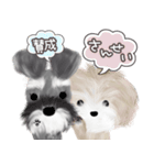 子犬の らぶ＆ことシュナ＆トイプー（個別スタンプ：10）