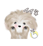 子犬の らぶ＆ことシュナ＆トイプー（個別スタンプ：13）