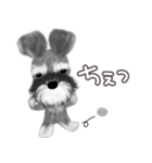 子犬の らぶ＆ことシュナ＆トイプー（個別スタンプ：15）