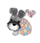 子犬の らぶ＆ことシュナ＆トイプー（個別スタンプ：17）
