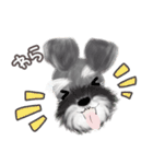 子犬の らぶ＆ことシュナ＆トイプー（個別スタンプ：20）