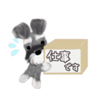 子犬の らぶ＆ことシュナ＆トイプー（個別スタンプ：24）