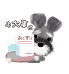 子犬の らぶ＆ことシュナ＆トイプー（個別スタンプ：34）