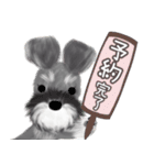 子犬の らぶ＆ことシュナ＆トイプー（個別スタンプ：35）