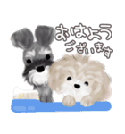 子犬の らぶ＆ことシュナ＆トイプー（個別スタンプ：36）