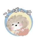 子犬の らぶ＆ことシュナ＆トイプー（個別スタンプ：37）