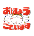 猫三昧★デカ文字でよく使う言葉（個別スタンプ：1）
