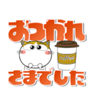 猫三昧★デカ文字でよく使う言葉（個別スタンプ：14）