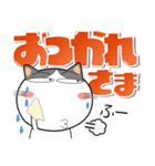 猫三昧★デカ文字でよく使う言葉（個別スタンプ：15）
