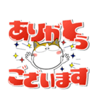猫三昧★デカ文字でよく使う言葉（個別スタンプ：29）