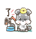 【カスタム】愛犬家のわんこと判子♡シュナ（個別スタンプ：2）