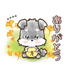 【カスタム】愛犬家のわんこと判子♡シュナ（個別スタンプ：9）
