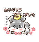 【カスタム】愛犬家のわんこと判子♡シュナ（個別スタンプ：10）