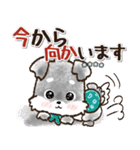 【カスタム】愛犬家のわんこと判子♡シュナ（個別スタンプ：17）