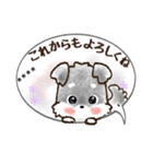 【カスタム】愛犬家のわんこと判子♡シュナ（個別スタンプ：25）