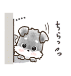 【カスタム】愛犬家のわんこと判子♡シュナ（個別スタンプ：27）