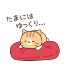 優しさいっぱいのトラネコさん6 飛び出す（個別スタンプ：8）